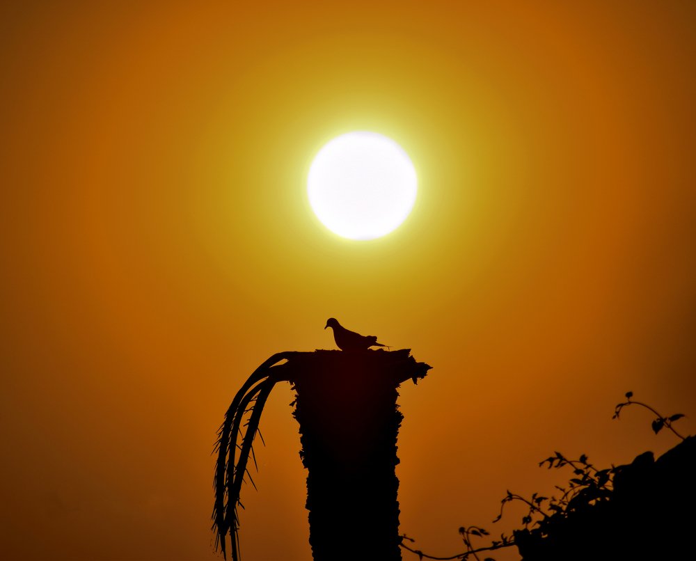 Photograph by MD. Moshiur Rahman