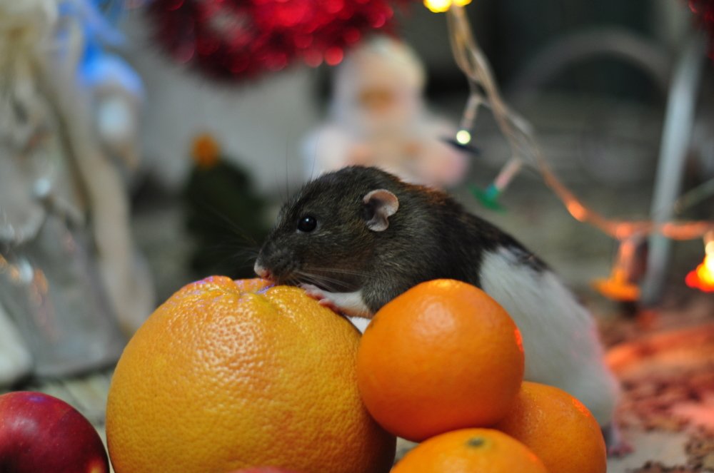 Photograph by Юлия Измерова