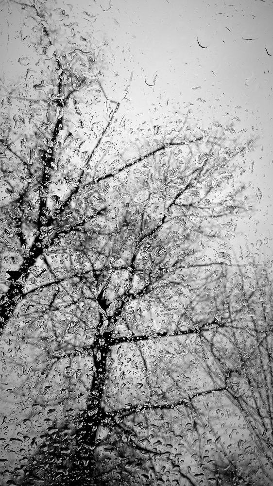 Photograph by Мария Бербега