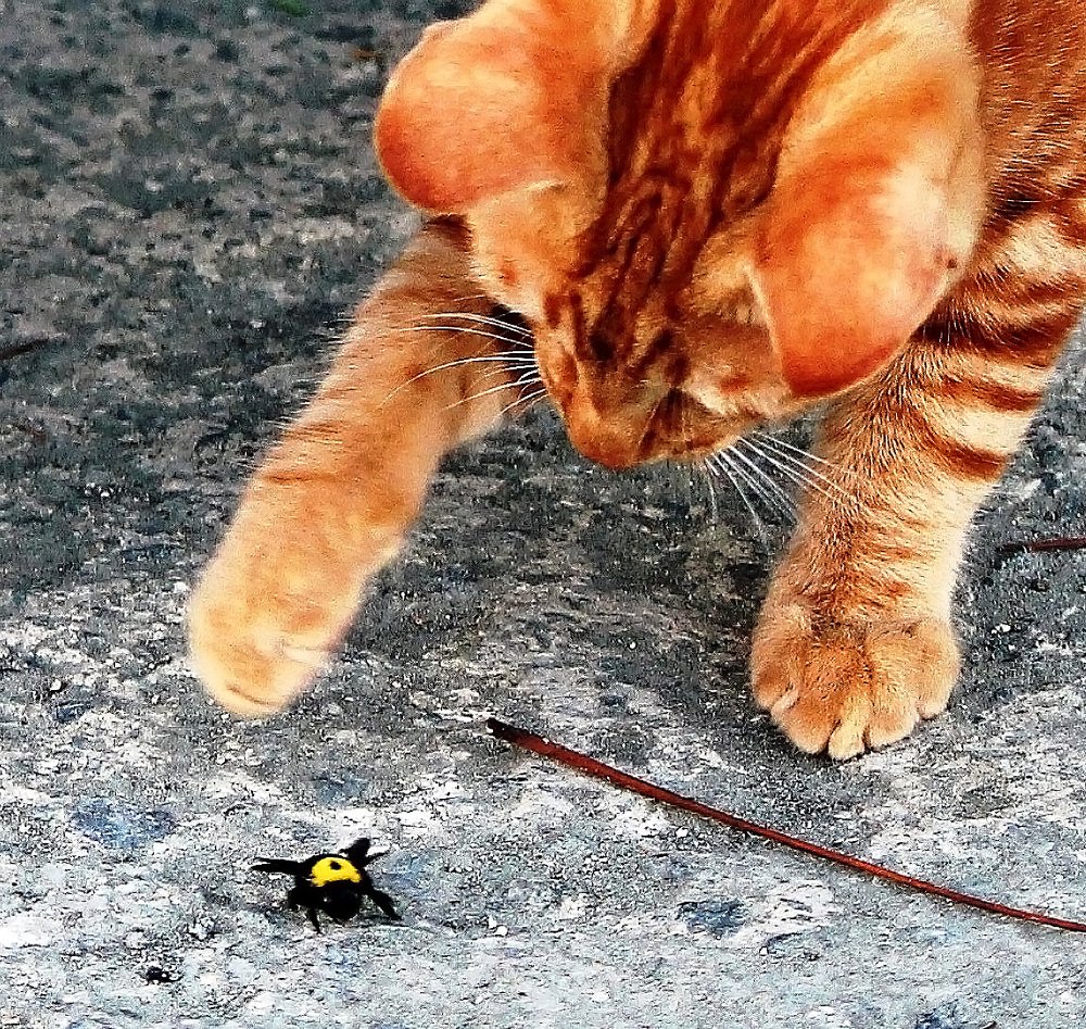 Photograph by Александр Бугаенко