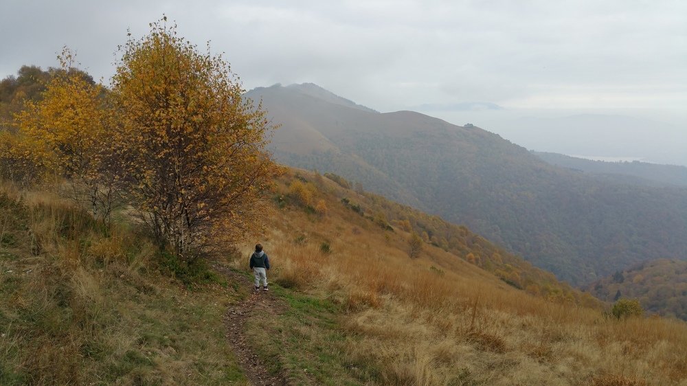 Photograph by Max Ischenko