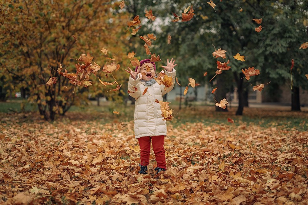 Photograph by 