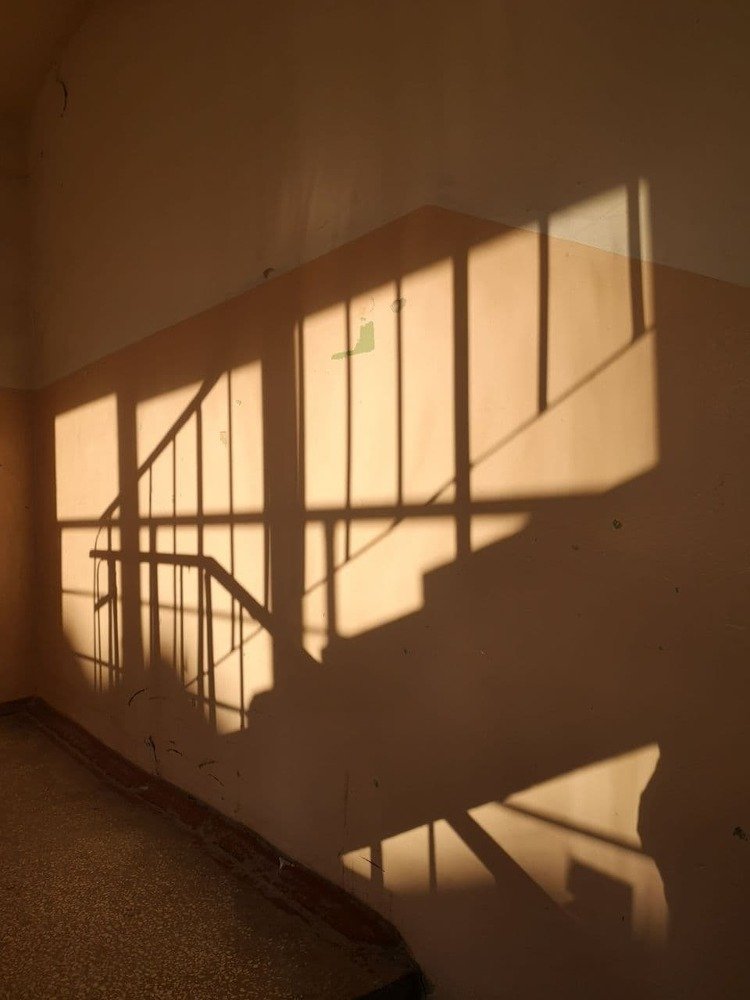 Photograph by Степан Сопегин