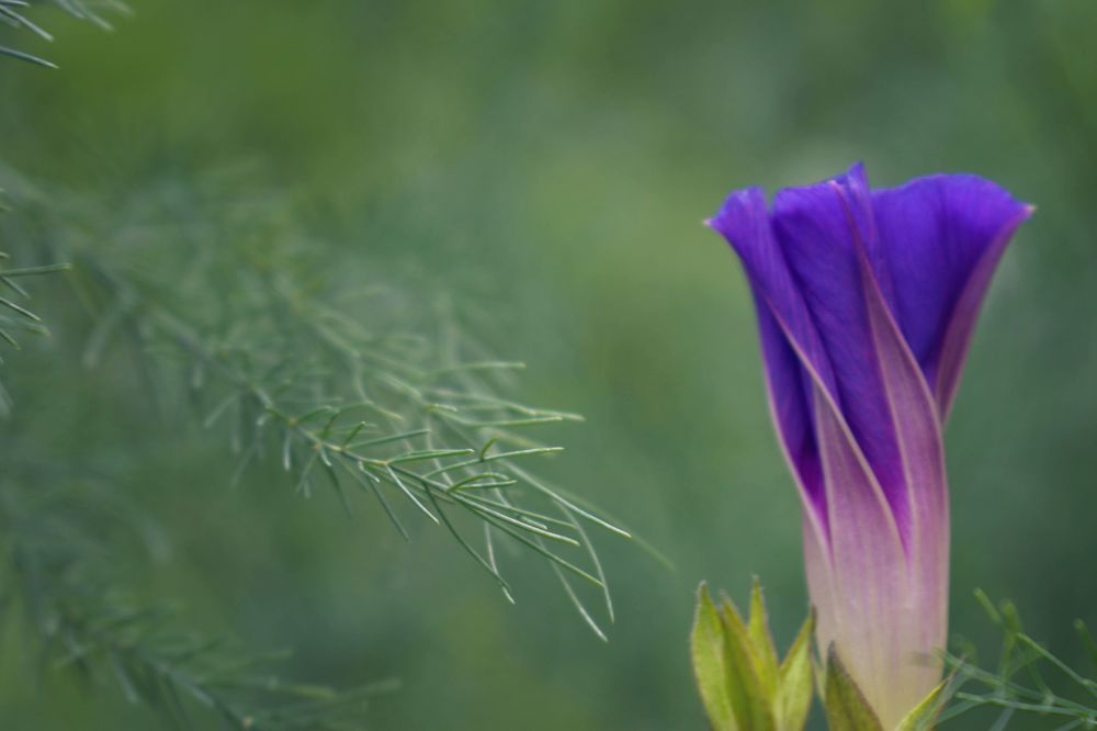 Photograph by Дарья Богославская