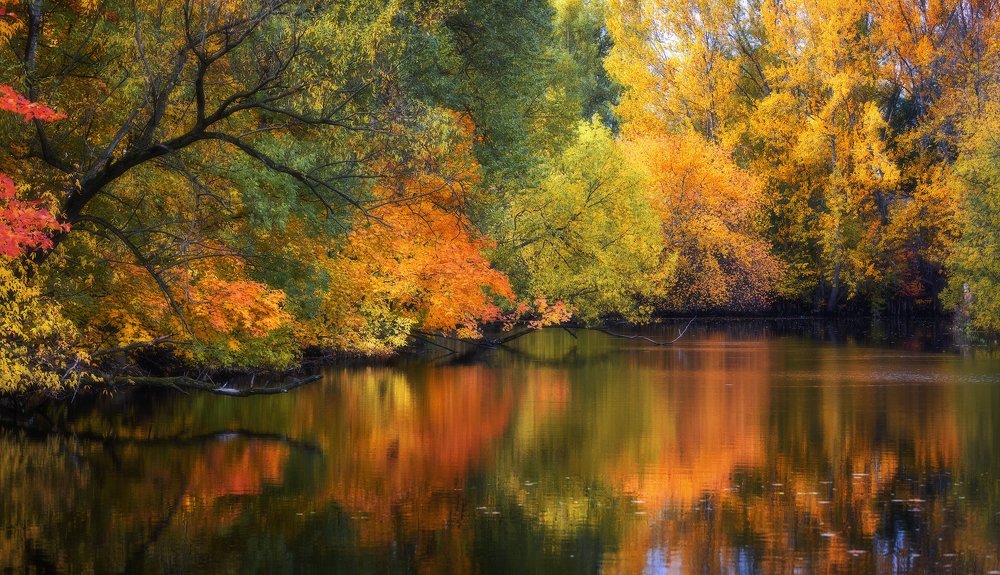 Photograph by Юрий Чернов