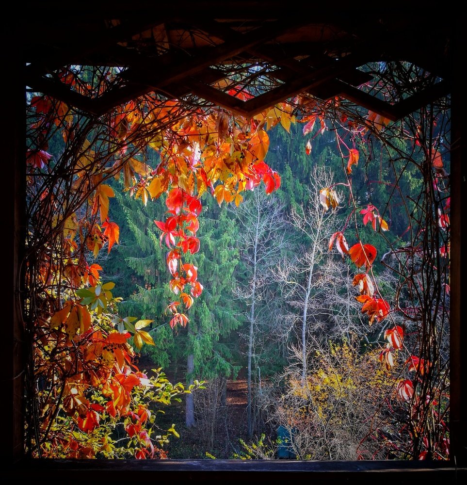 Photograph by Евгений Кравченко