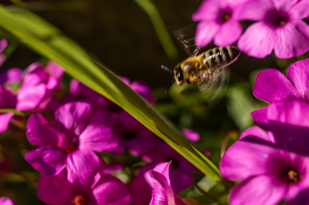 Photograph by Анатолий Гузенко