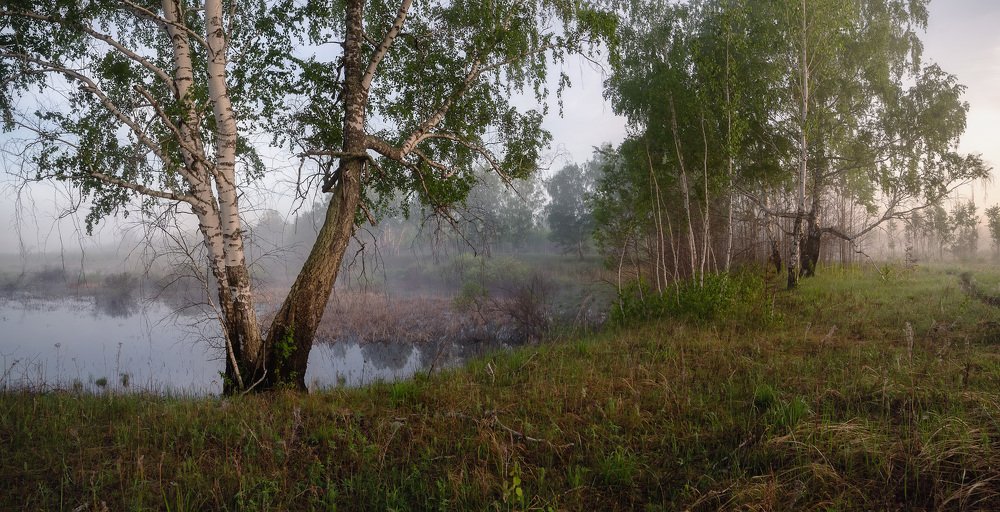 Майское утро.