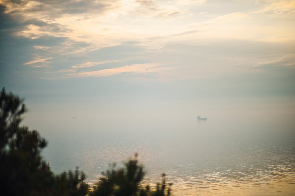 Photograph by Анатолий Гузенко