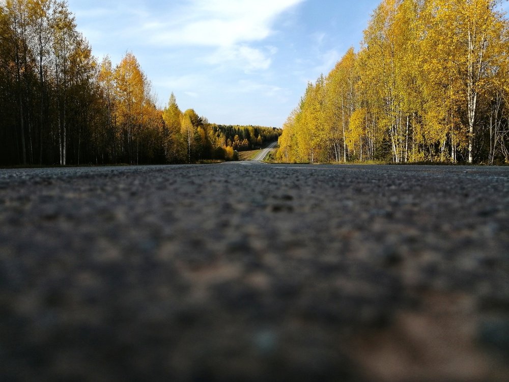 Фотография автора Евгения Снигирева