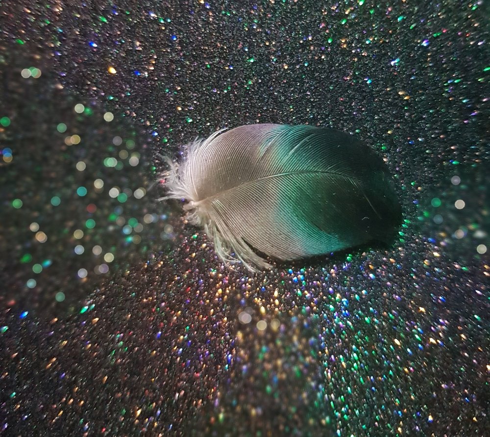 Photograph by Ольга Пумочка-13