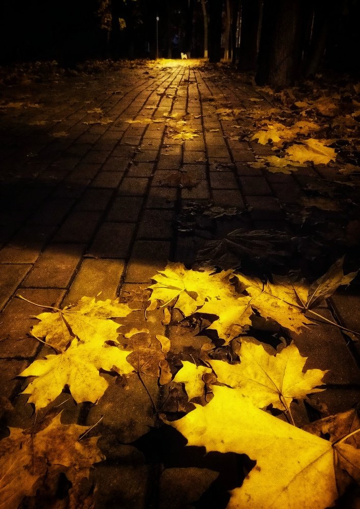 Photograph by Людмила М