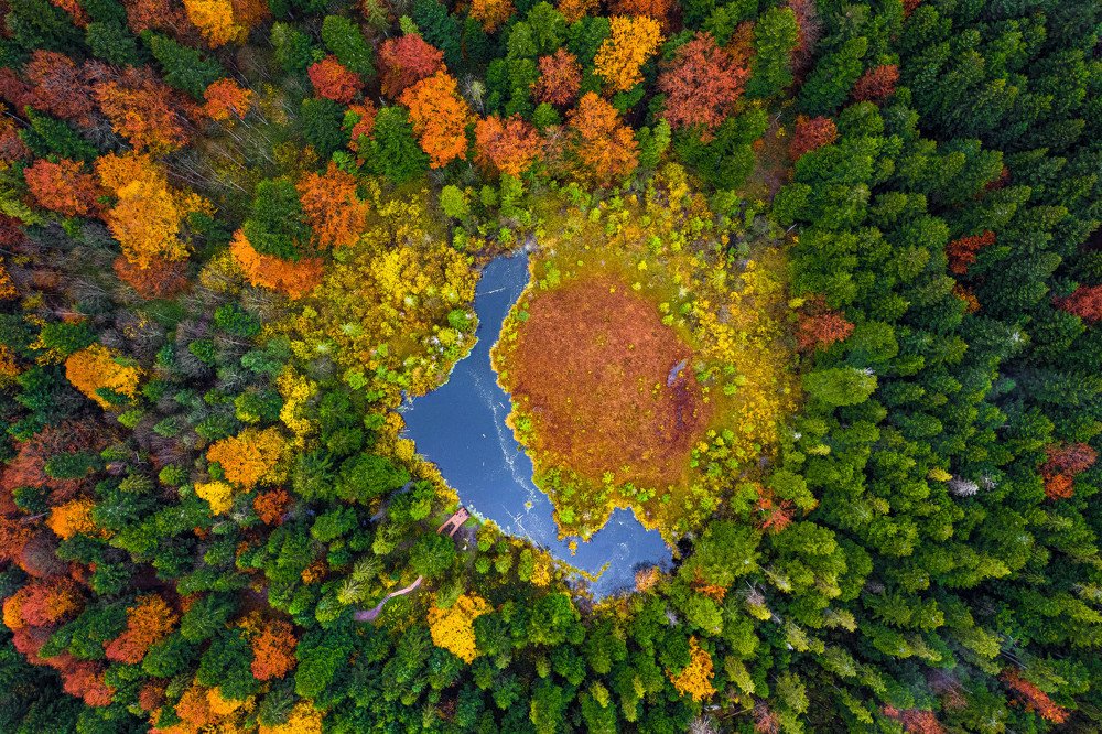 Photograph by Denys Makogon