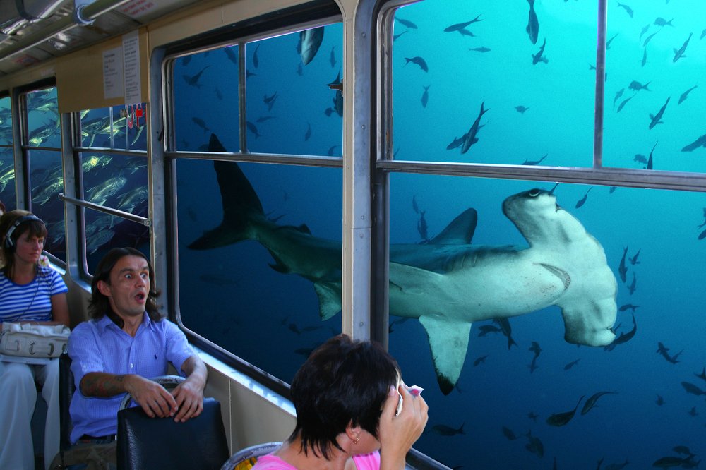 Следующая станция Атлантида