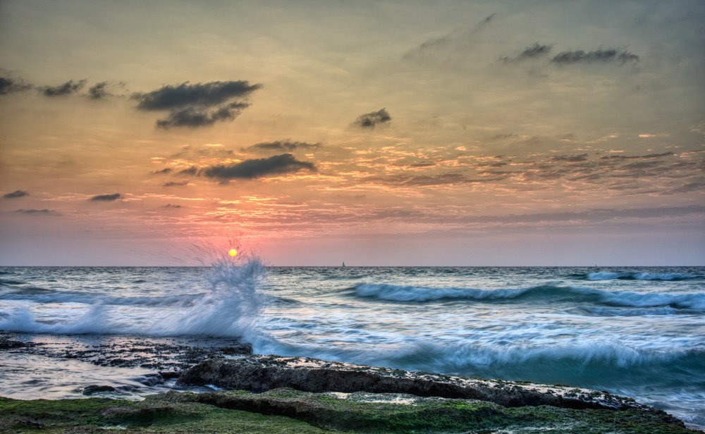 Фотография автора David Solodar