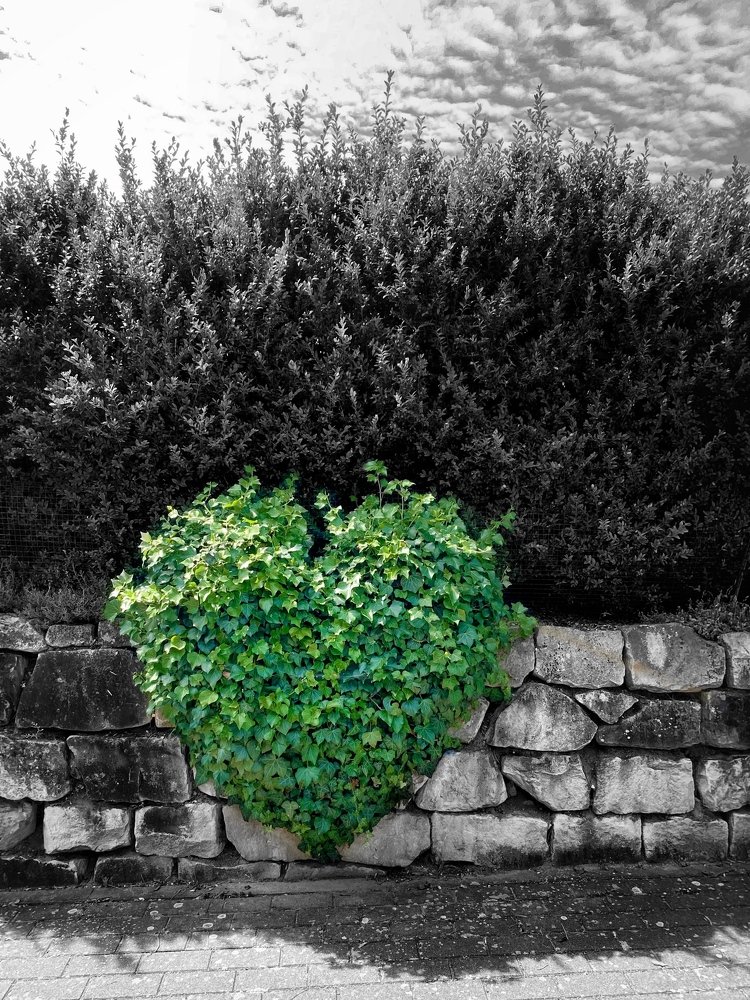 Photograph by Алёна Мажорова