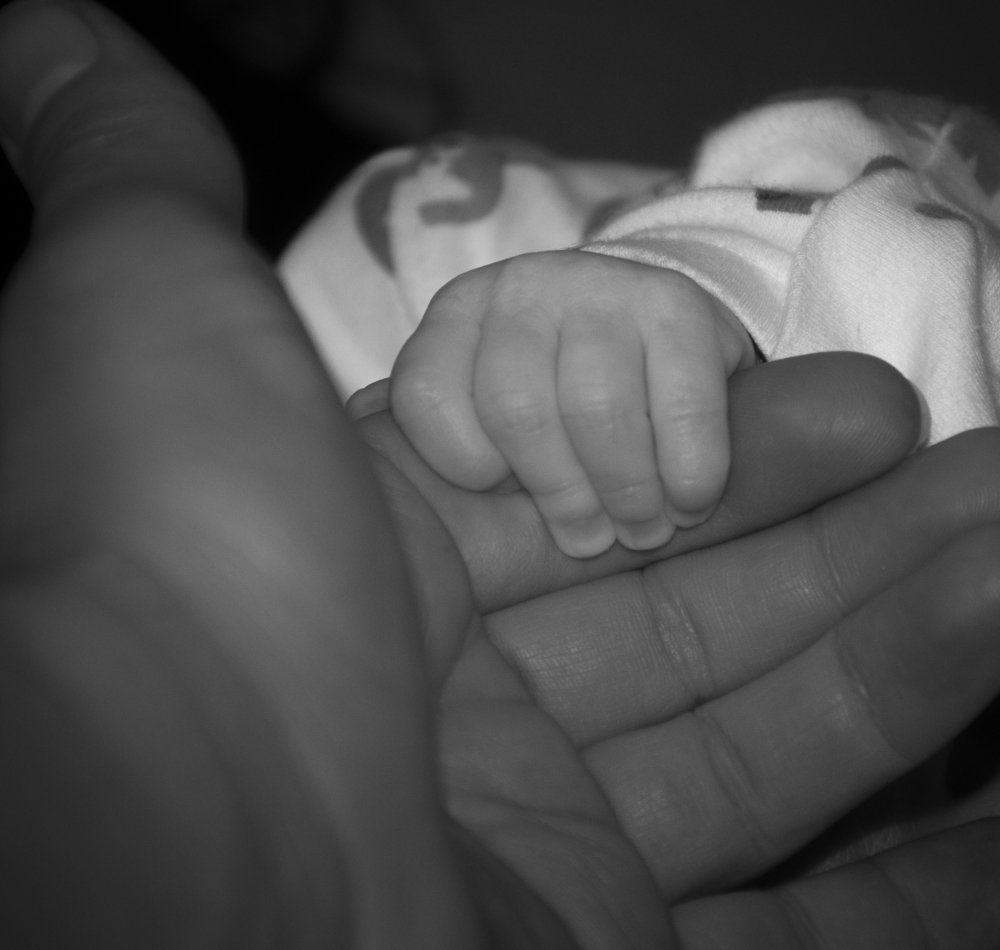 Photograph by Dimitar Gerchev