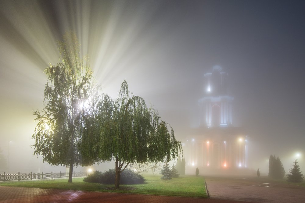 Волшебство тумана