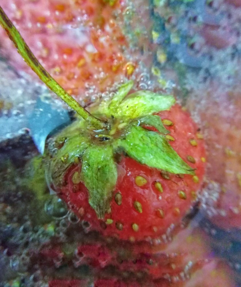 Photograph by Жанна Усатова