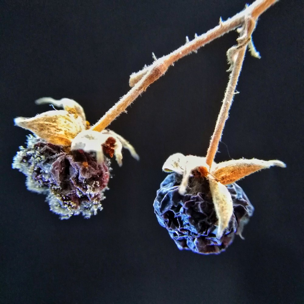 Photograph by Жанна Усатова