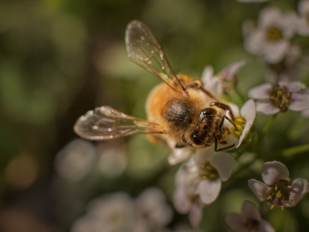 Фотография автора David Solodar