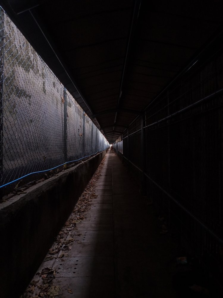 Photograph by Alex