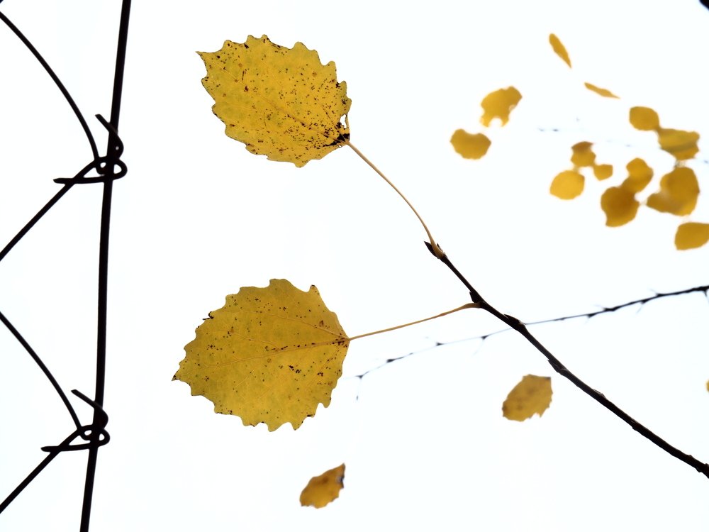 Фотография автора Lucie Jechová