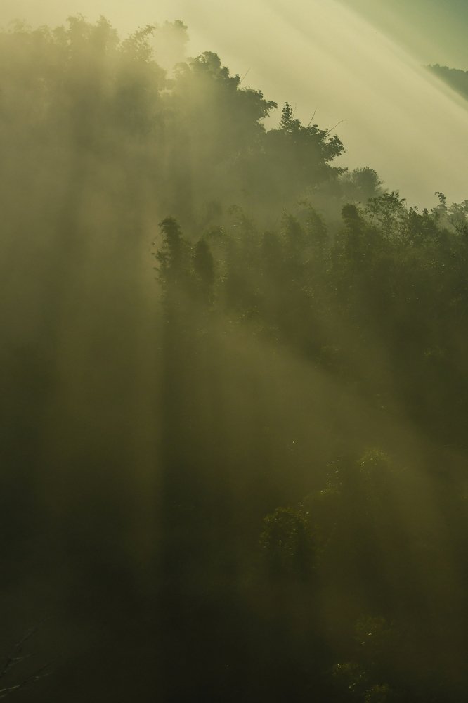 Photograph by Paing Xis