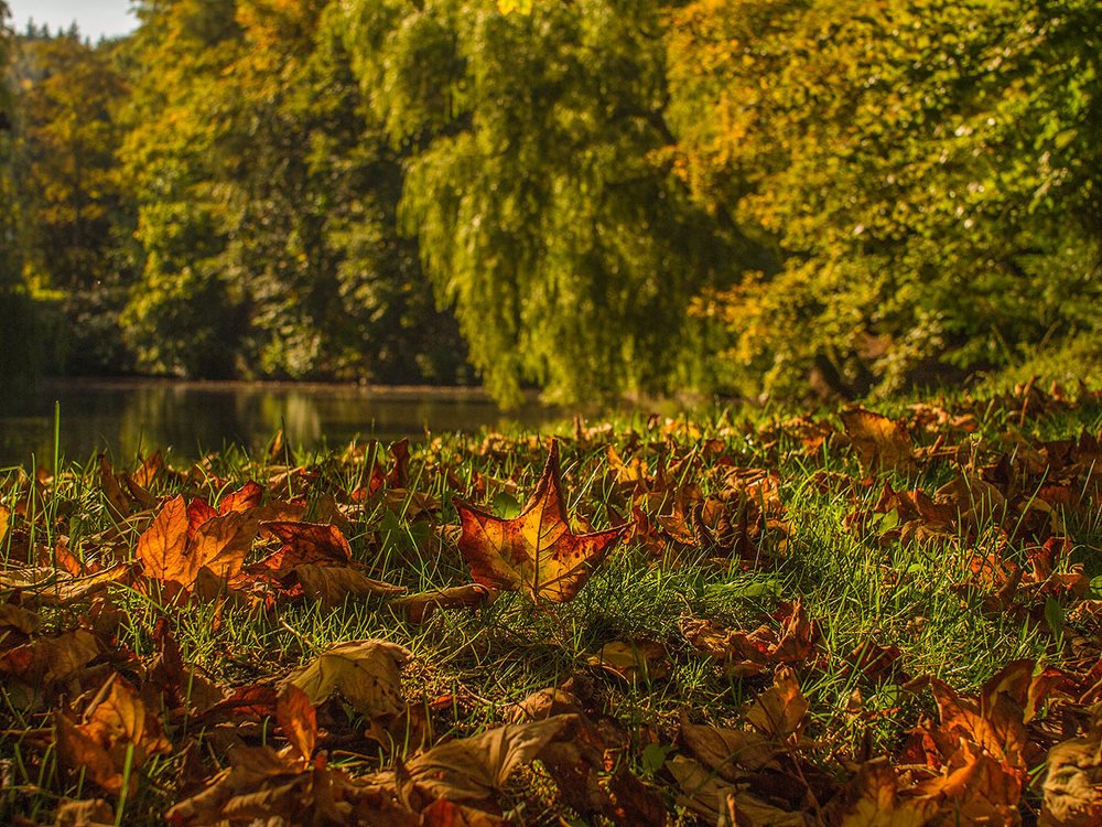 Фотография автора David Solodar