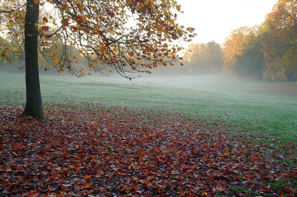 Фотография автора David Solodar