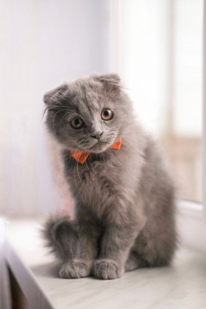 Photograph by Елизавета Байкова