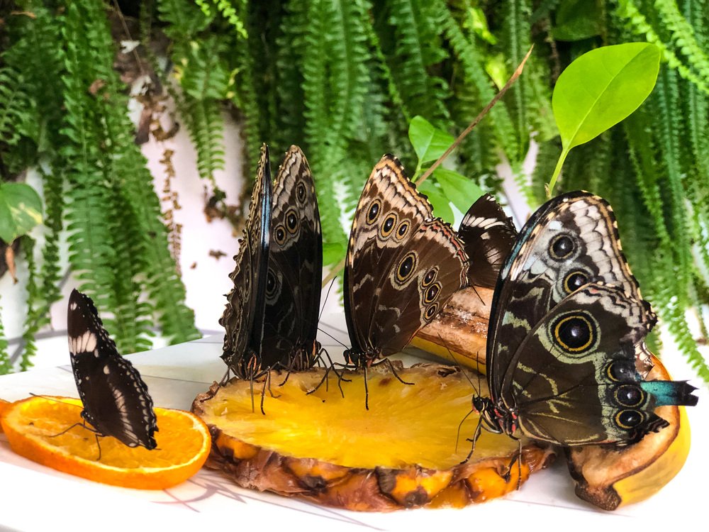 Photograph by Юлия Каревская