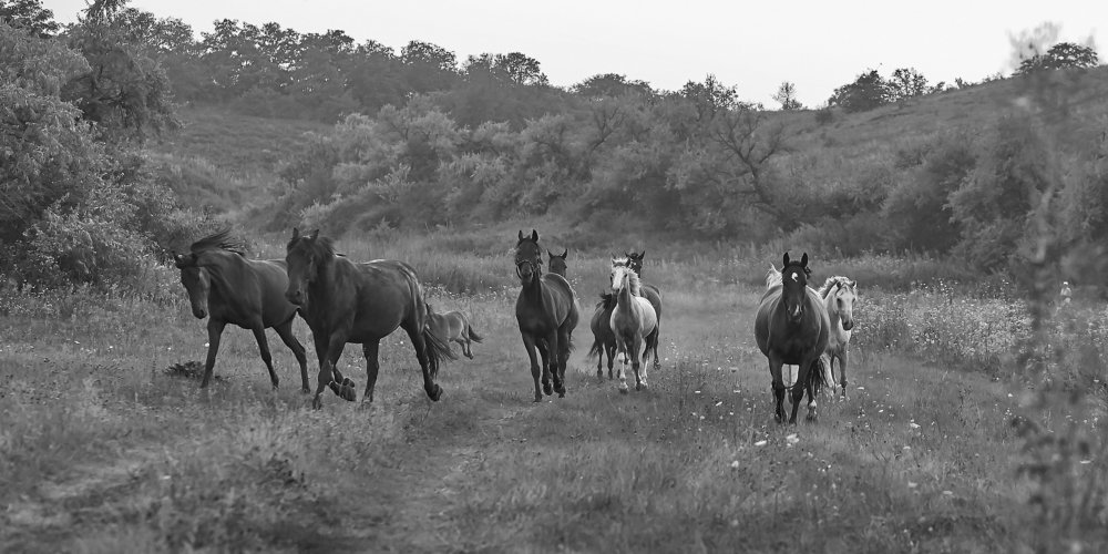 Photograph by Maslova Iryna