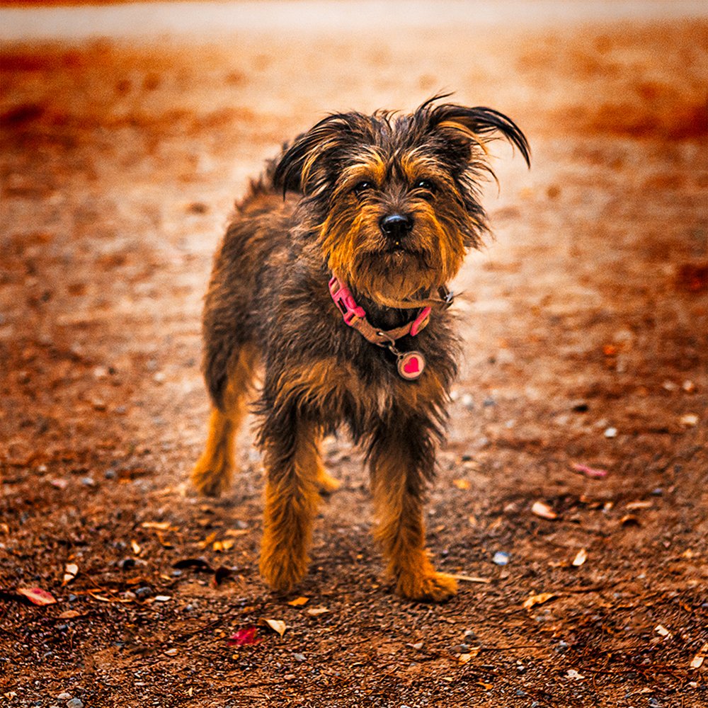 Photograph by Генри Морган