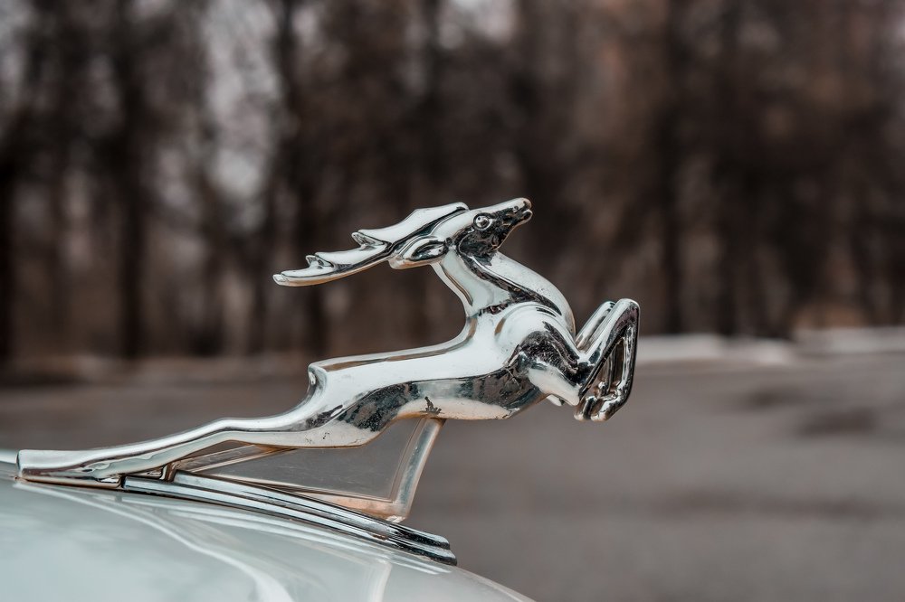 Photograph by Вероника Герман