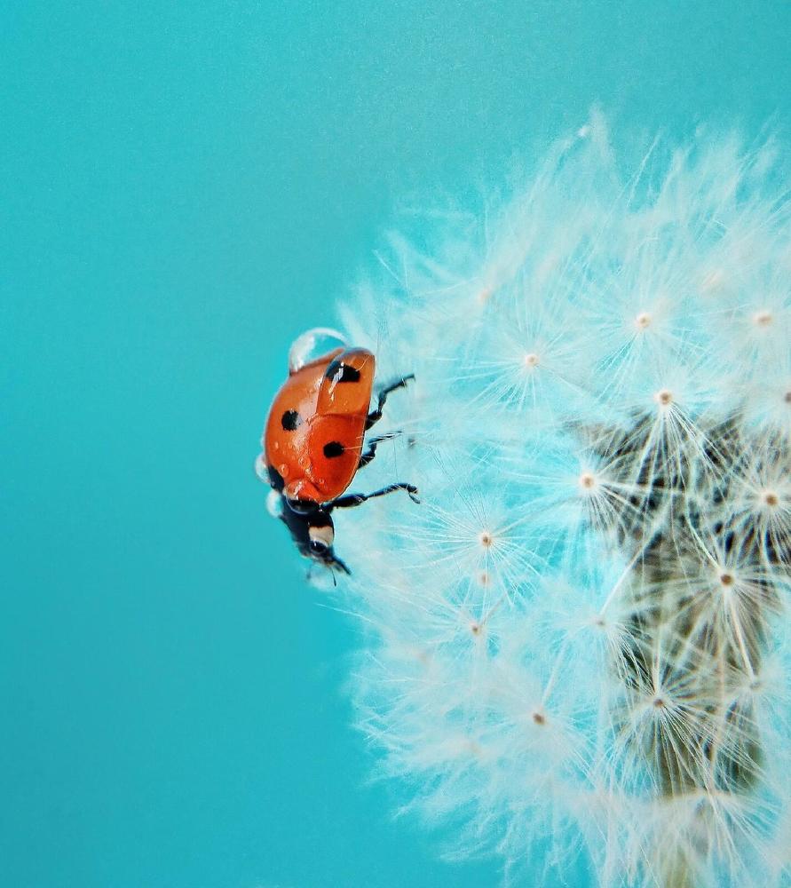 Photograph by Елена Ерина