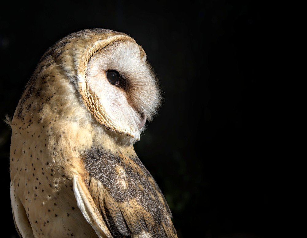 Photograph by Eduardo Bom