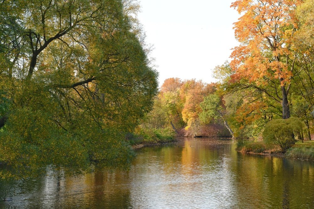 Photograph by Алексей Фомичев