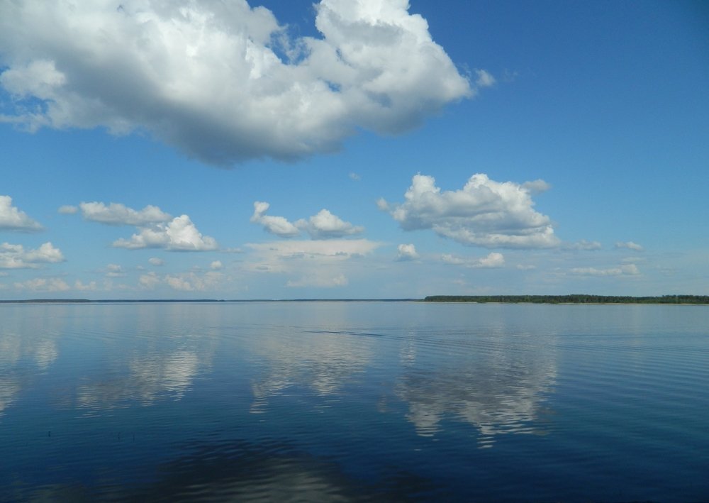 Photograph by Вячеслав Розмин