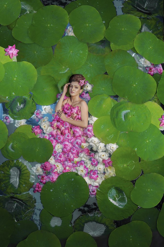 Lady in the lotus lake
