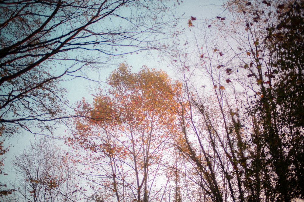 Photograph by Nicolas