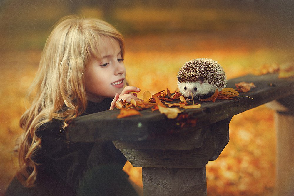 Photograph by Наталья Законова