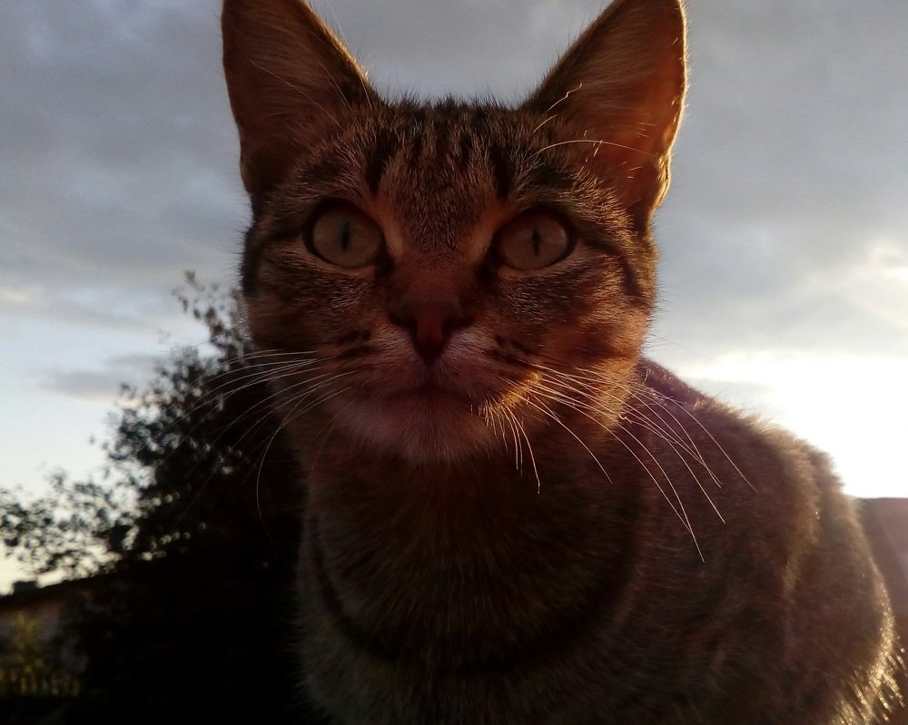 Photograph by София Корепанова