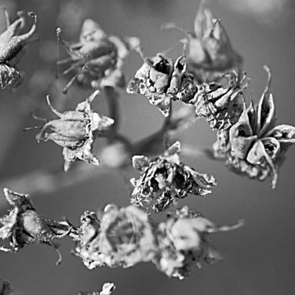 Photograph by Оксана Трофименко