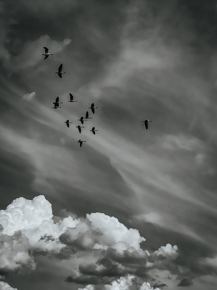 Photograph by Алёна Мажорова