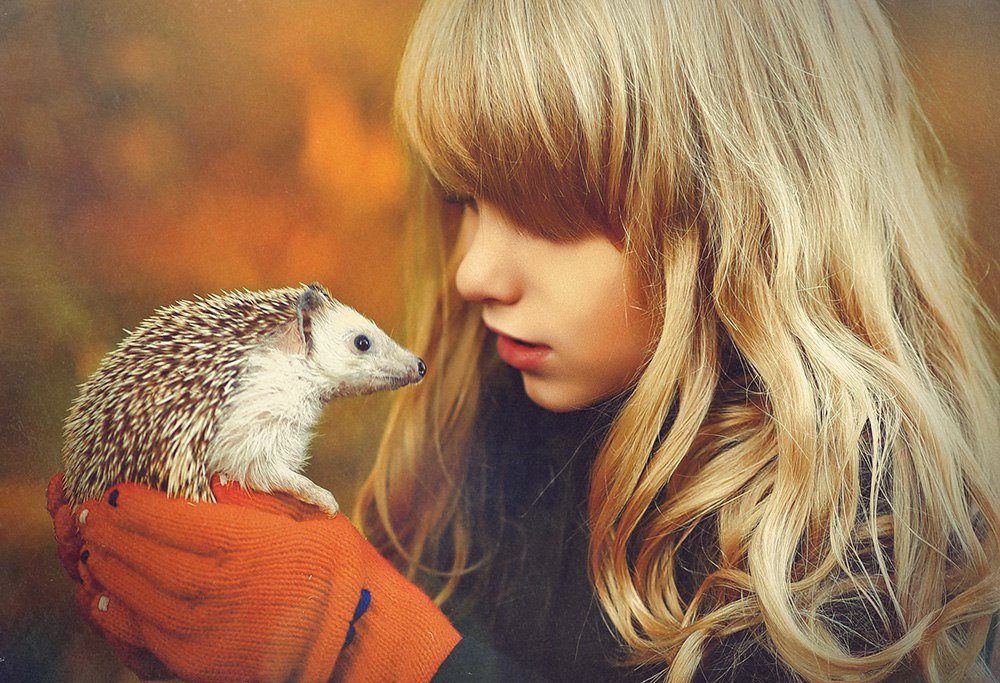 Фотография автора Наталья Законова