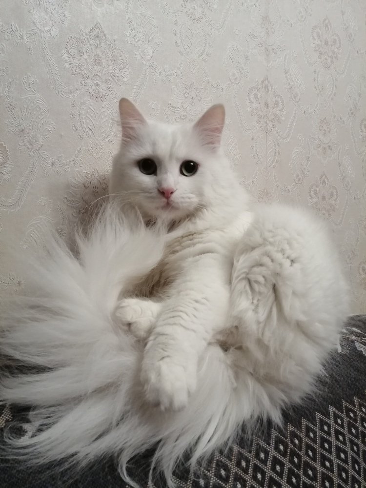 Photograph by Наталья Терентьева