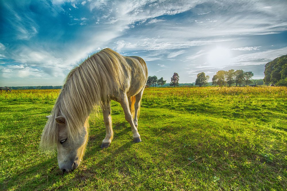 Photograph by Julija JKv