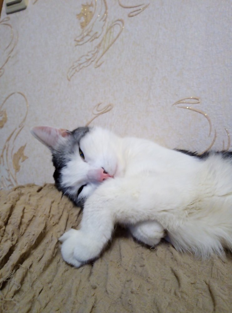 Спокойной ночи