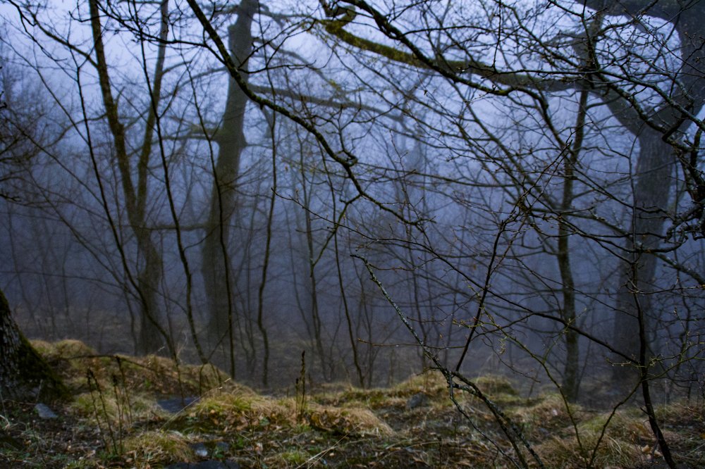 Фотография автора sose